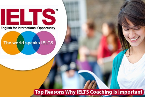 Empowering Fluency: Your Path to Success at V2gether English Academy
